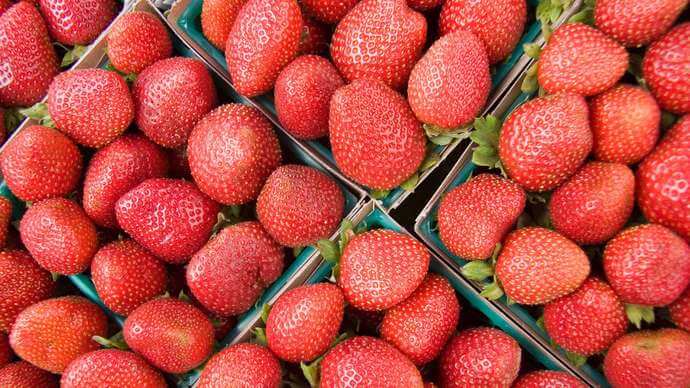 Cartons strawberries farmers market